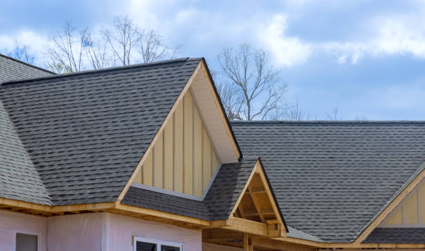 Best Steel Roofing  in Brightwood, VA